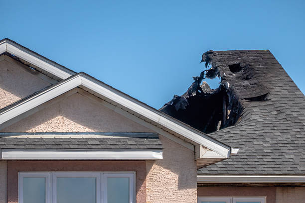 Top rated local Fire Damage Removal specialists in Hamilton, OH